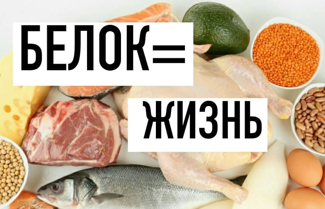 белок