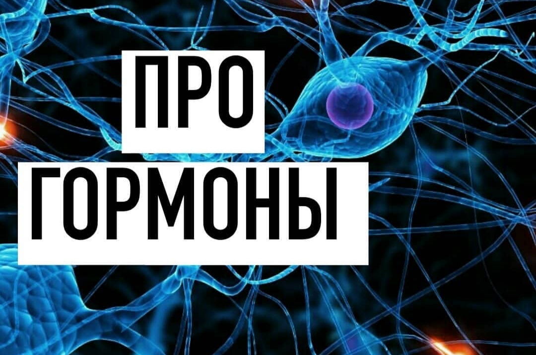 питание и гормоны