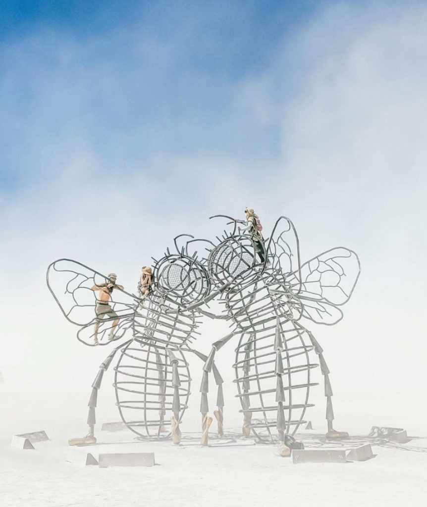 Burning Man 2019 мухи