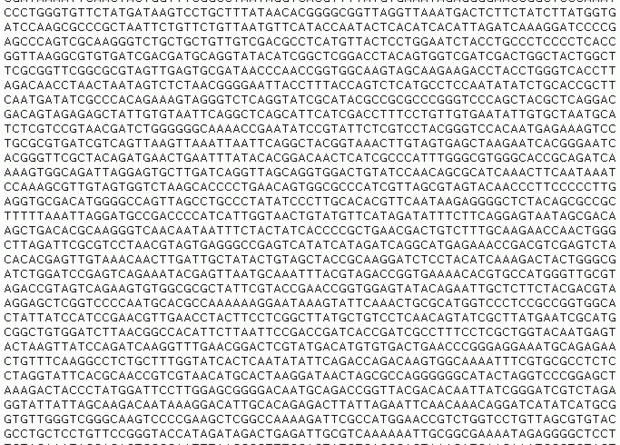 Стэнфордские биологи секвенировали геном