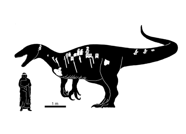 Палеонтологи описали нового хищного динозавра из группы мегарапторов, ископаемые остатки которого были найдены в аргентинских отложениях возрастом от 72,1 до 66 миллионов лет.